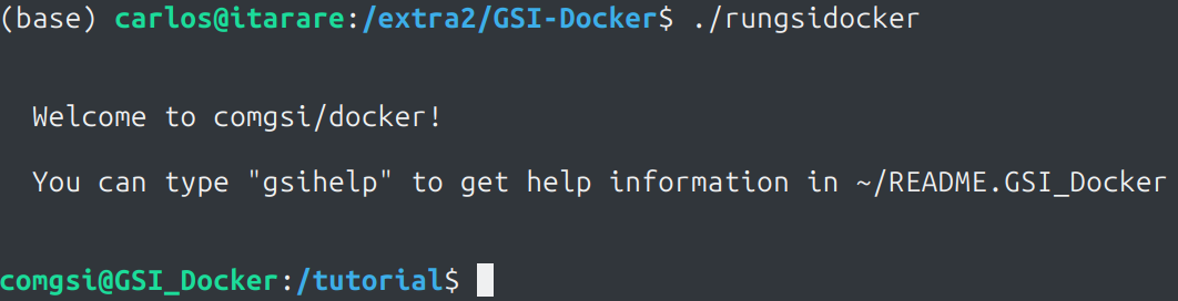 Docker GSI